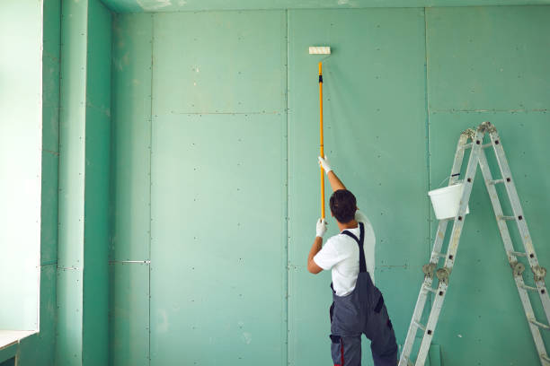 Best Mold Damage Restoration  in Island City, OR